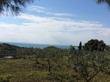 Enlarge photo 34