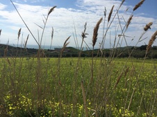 Enlarge photo 38