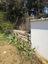 Enlarge photo 40