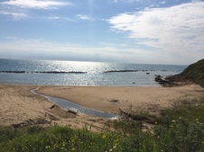 Enlarge photo 41