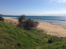 Enlarge photo 42