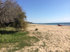 Enlarge photo 43