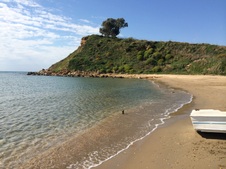 Enlarge photo 46