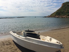 Enlarge photo 47