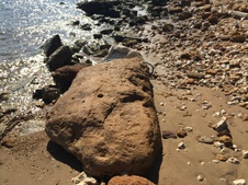 Enlarge photo 48