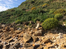 Enlarge photo 50