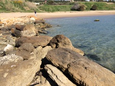 Enlarge photo 51
