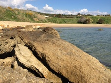 Enlarge photo 52