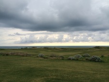 Enlarge photo 71