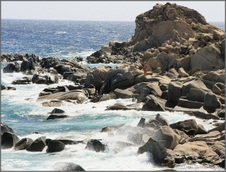 Enlarge photo 7
