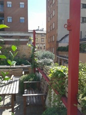 Enlarge photo 36