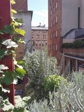 Enlarge photo 35