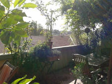 Enlarge photo 32