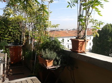 Enlarge photo 28