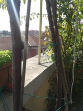 Enlarge photo 27