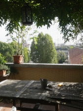 Enlarge photo 26