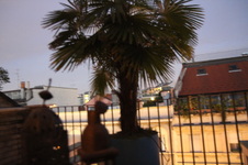 Enlarge photo 15