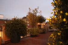 Enlarge photo 13