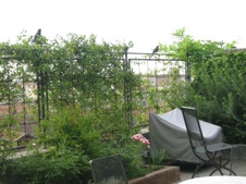 Enlarge photo 25