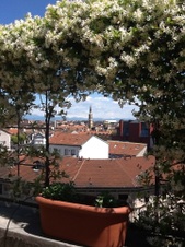 Enlarge photo 24