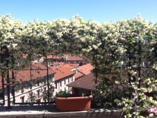 Enlarge photo 22