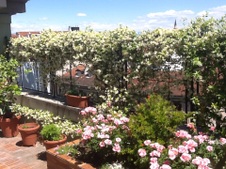 Terrazzi Milano