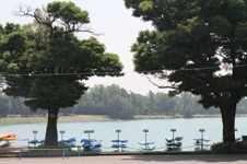 Enlarge photo 13