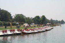 Enlarge photo 32