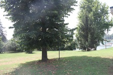 Enlarge photo 37