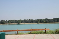 Enlarge photo 47