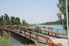 Enlarge photo 48