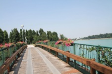 Enlarge photo 50