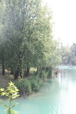 Enlarge photo 51