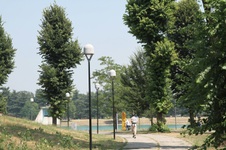 Enlarge photo 53