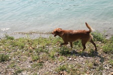 Enlarge photo 93