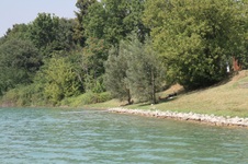 Enlarge photo 94