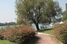 Enlarge photo 104
