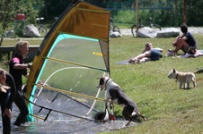 Enlarge photo 15