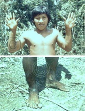 Enlarge photo 87