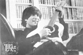 beatle