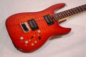 Brian Moore Iguitar 8.13