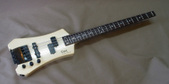 Cort Steinberger copy