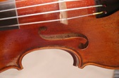 Enlarge photo 21