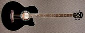 Ibanes AEB10-BK Acoustic Bass
