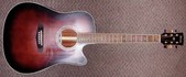 Ibanez Artwood Acoustic