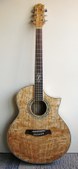Ibanez EW20ASENT
