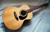 Seagull Maritine Mini Jumbo Gloss