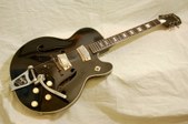 Silvertone 1446 Thinline Electric 2