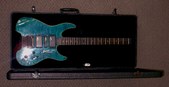 STEINBERGER SPIRIT CUSTOM GU-7R