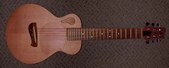 Tacoma P-1 Travel Acoustic